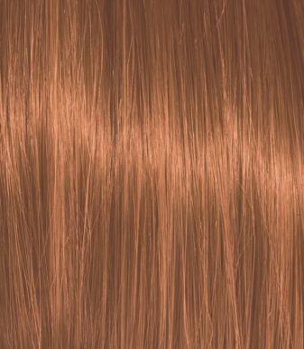 Color Action No 6.34