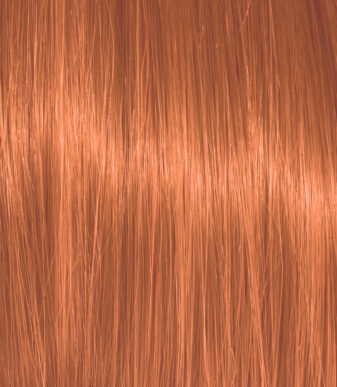 Color Action No 7.44