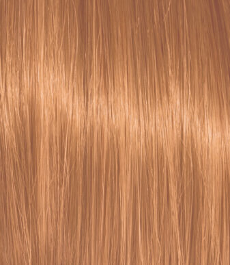 Color Action No 8.34