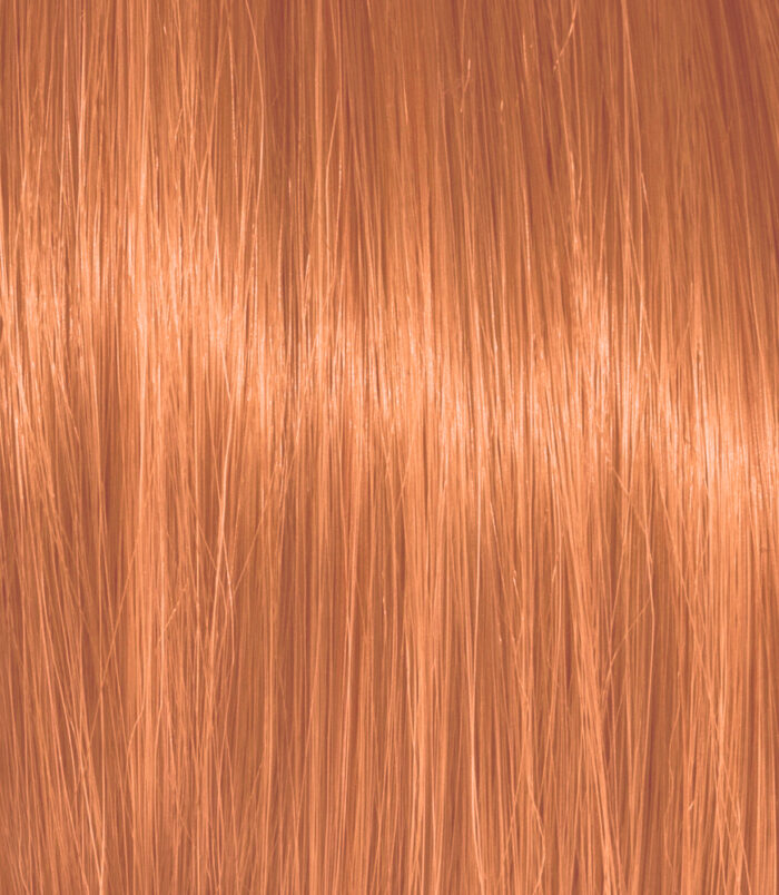 8-44_COLOR_ACTION 8-44_COLOR_ACTION