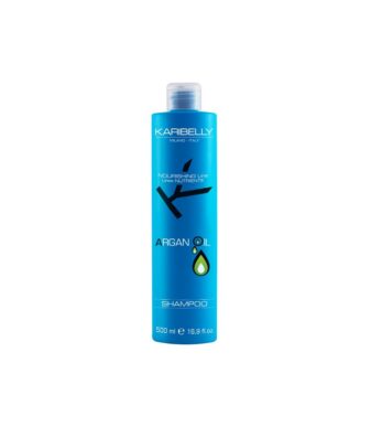 Argan Oil Shampoo – Θρεπτικό Σαμπουάν με Έλαιο Argan