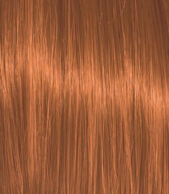 Color Action Argan Oil Νο 6.43