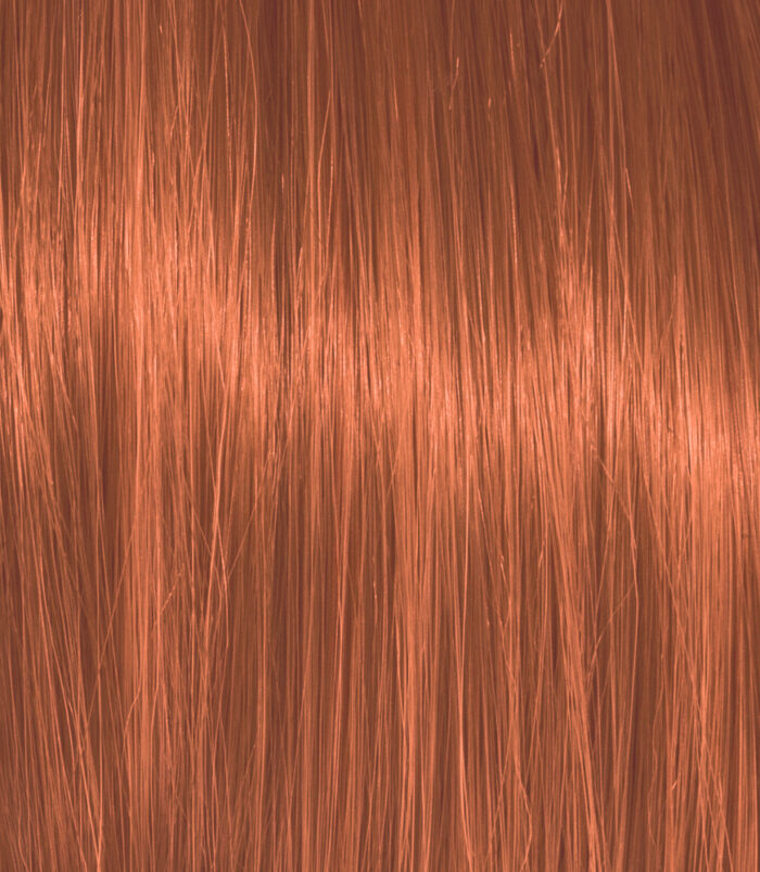 6-46_COLOR_ACTION_ARGAN