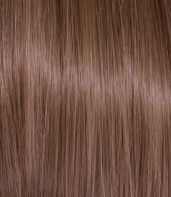 6-53_COLOR_ACTION_ARGAN 2