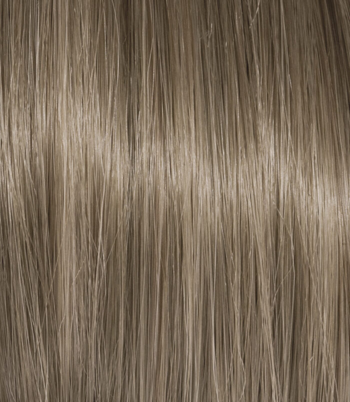 7-12_COLOR_ACTION_ARGAN 7-12_COLOR_ACTION_ARGAN