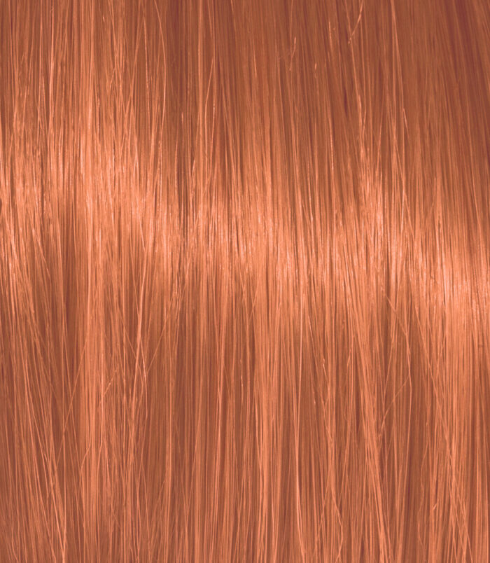 7-46_COLOR_ACTION_ARGAN 7-46_COLOR_ACTION_ARGAN