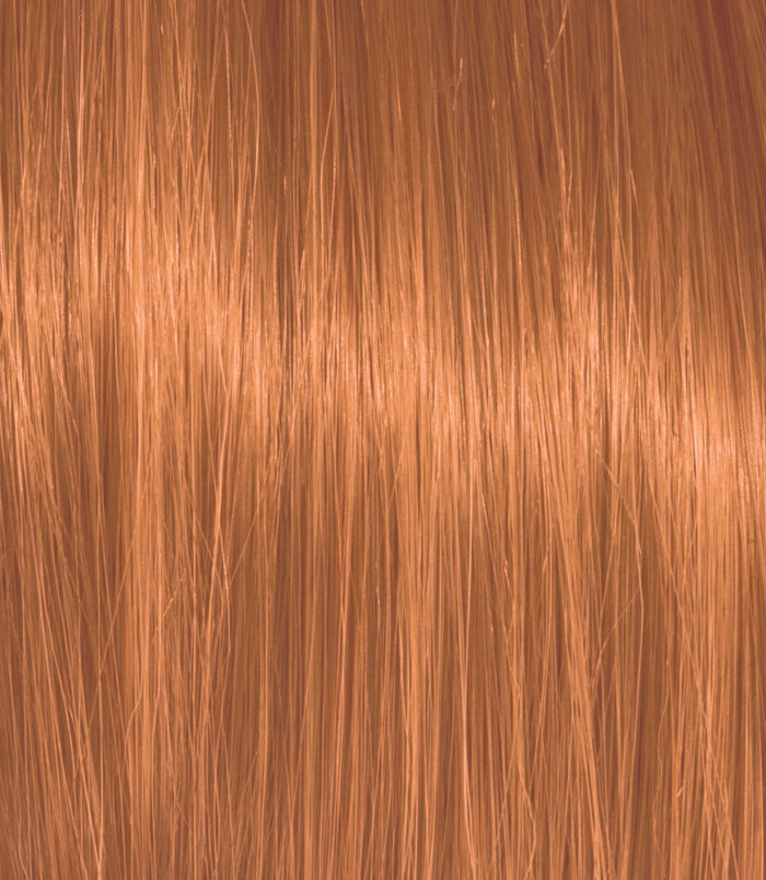 7-4_COLOR_ACTION_ARGAN