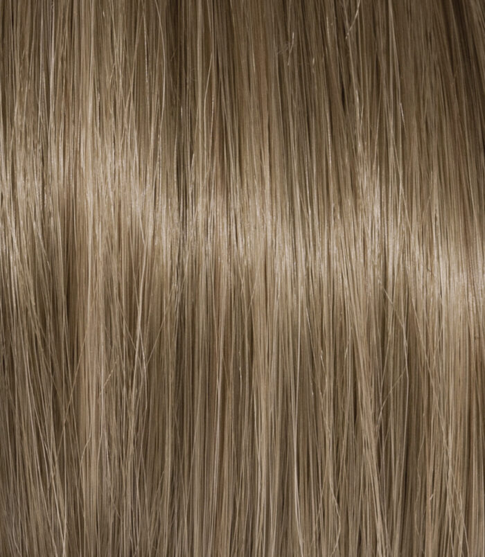 7_COLOR_ACTION_ARGAN