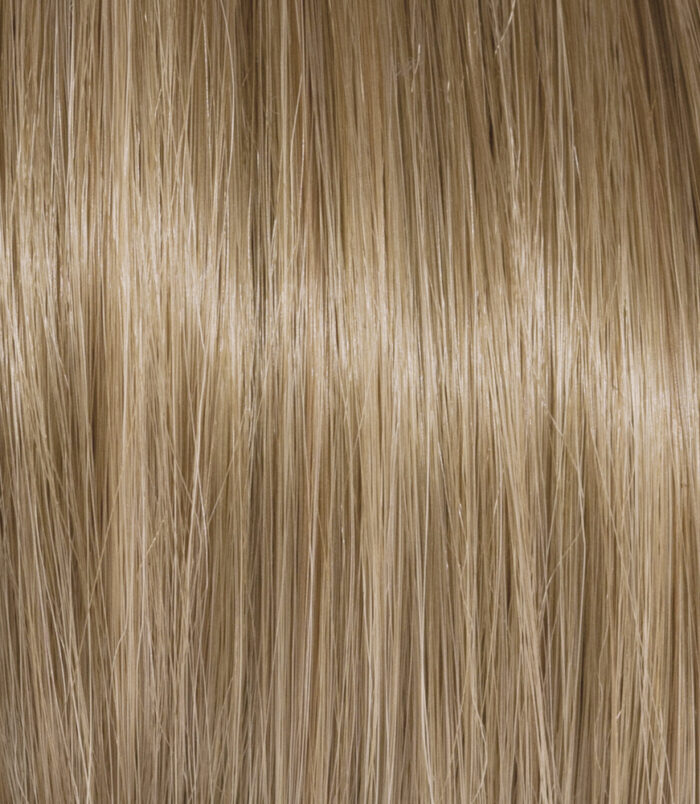 8-32_COLOR_ACTION_ARGAN 8-32_COLOR_ACTION_ARGAN