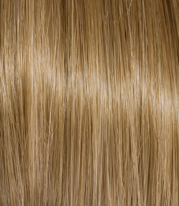 8-3_COLOR_ACTION_ARGAN 8-3_COLOR_ACTION_ARGAN