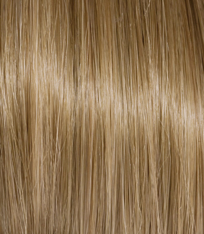 8_COLOR_ACTION_ARGAN 8_COLOR_ACTION_ARGAN