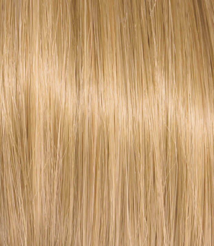 9-33_COLOR_ACTION_ARGAN